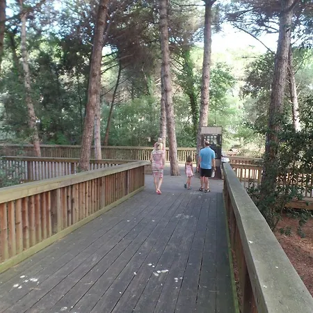 Picobello Pineta