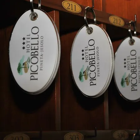 Picobello Pineta
